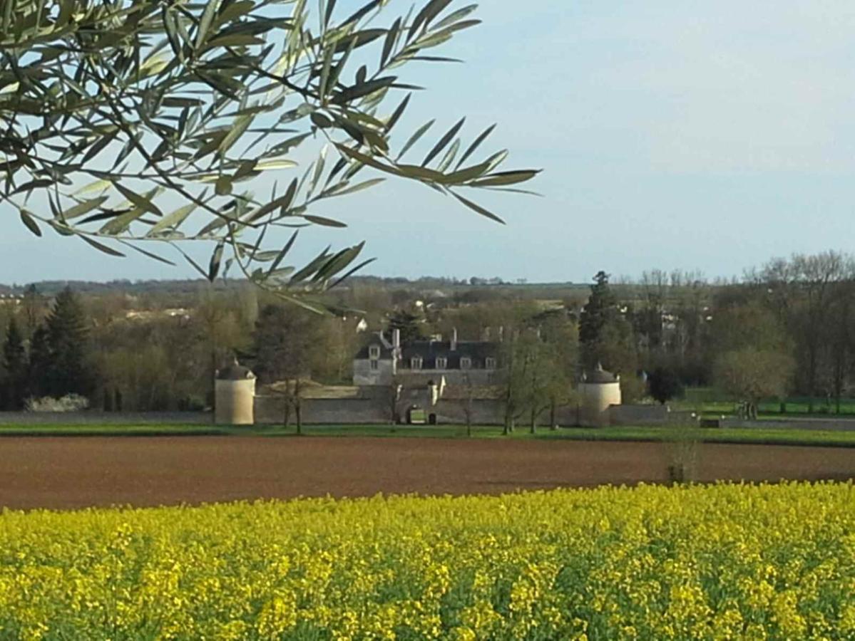 Au Grain D'Orge Villa Echire Exterior foto